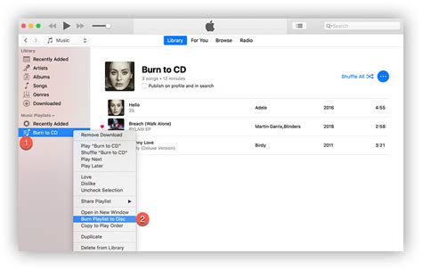 How to Burn Apple Music to CD: A Detailed Guide with Multiple Perspectives