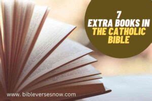 Who Wrote the 7 Extra Books in the Catholic Bible: A Deep Dive into the Authoritative Works